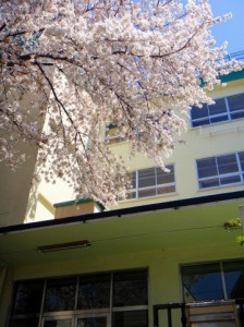 卒業、入学お祝い