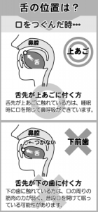 舌の位置